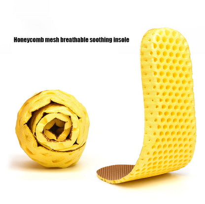 Moški usnjeni čevlji