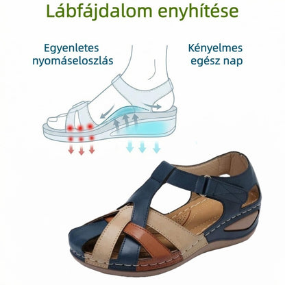 🔥Časno omejen 50 % popust! Poletni ortopedski sandali, ergonomsko oblikovani za udobje in lajšanje bolečin✅